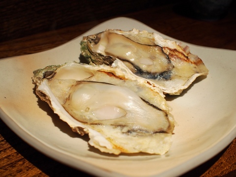 P4140323-1.JPG