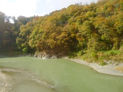 L1050365-1.JPG